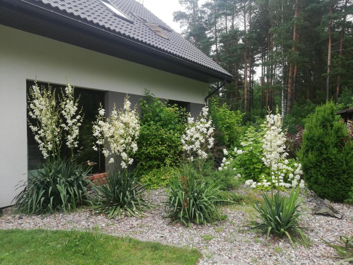 Cudodomek Spa W Mrozach Wielkich Kolo Elku ภายนอก รูปภาพ